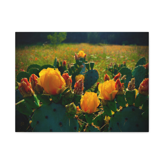 Prickly Pear Cactus Bloom Matte Canvas Print — Stretched Wall Art
