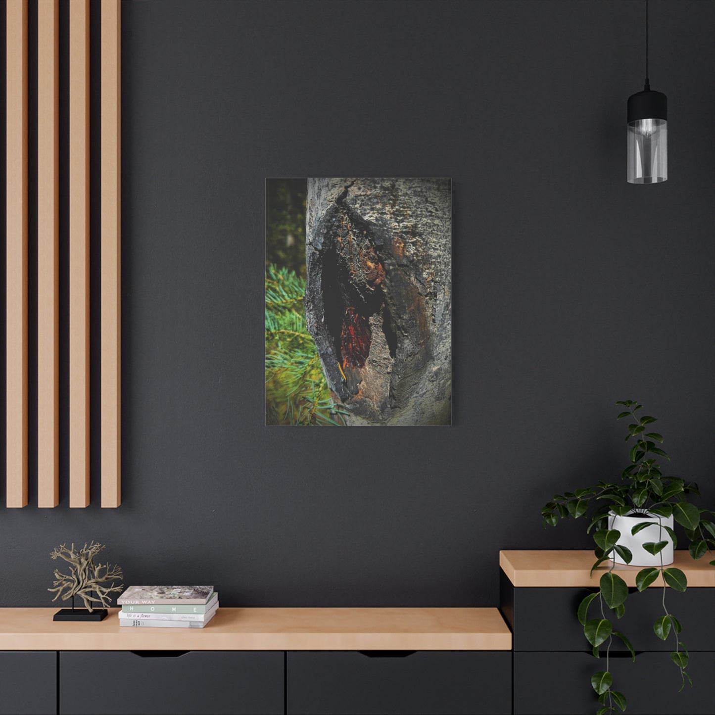 Tree Knot Close-Up Canvas Wall Art — Rustic Nature Photography Print