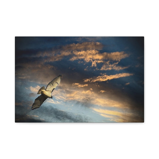 Hawk at Sunset Matte Canvas Print — Coastal Wall Art, Tranquil Ocean Sky