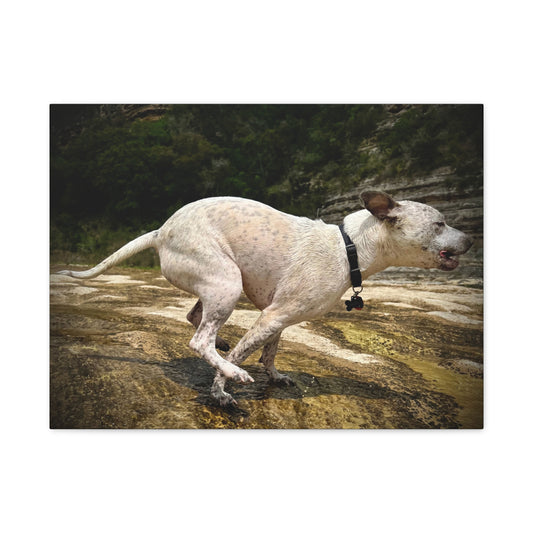 Running Dog Canvas Wall Art – Matte Stretched Pet Photo Print