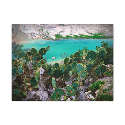 Desert Cactus Coastal Canvas Print — Turquoise Lagoon Wall Art, Matte Stretched 1.25"