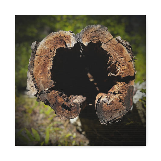 Heartwood Log Photo Canvas — Rustic Nature Wall Art