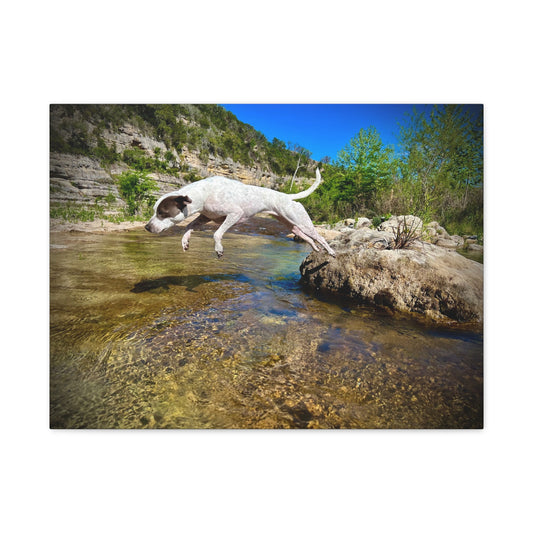 Canvas Print — Dog Leaping Over River | Outdoor Adventure Wall Art
