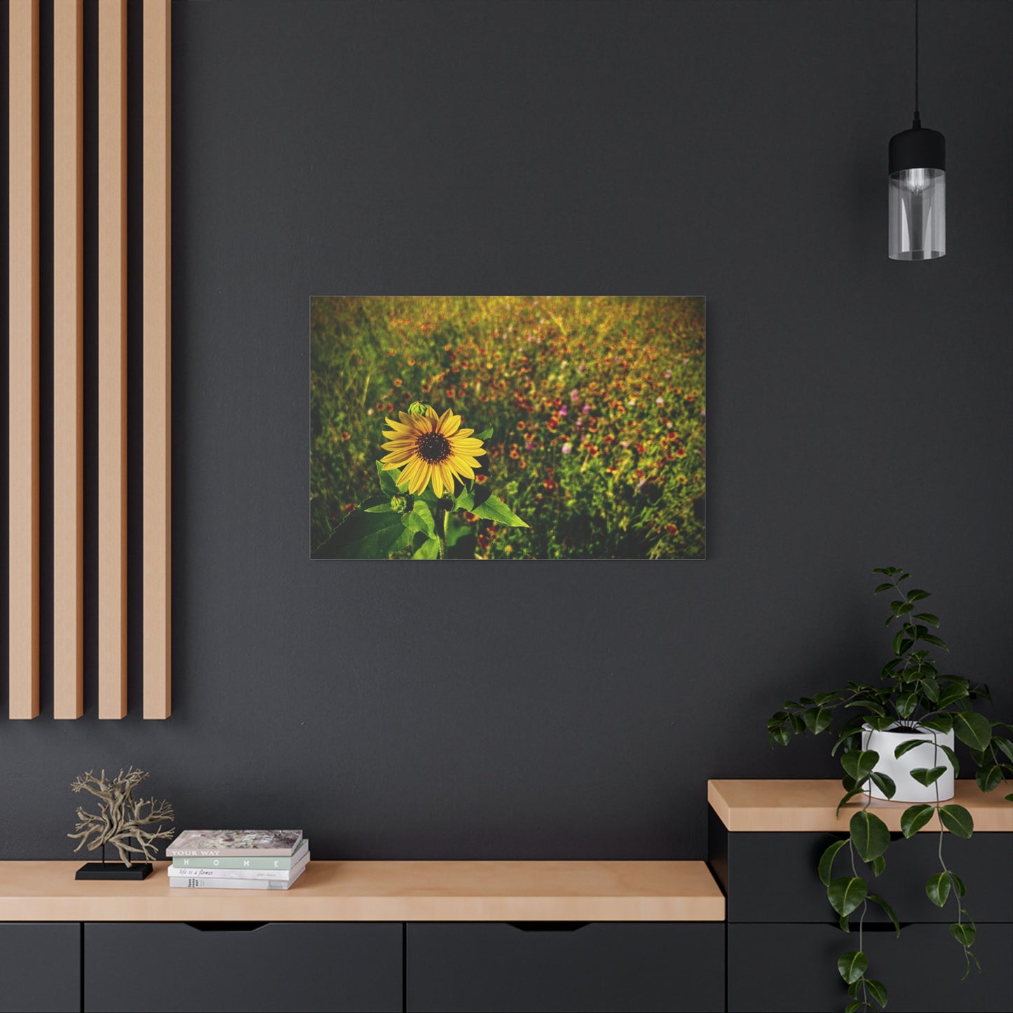 Lone Sunflower In Indian Blanket Field Matte Canvas, Stretched, 1.25"