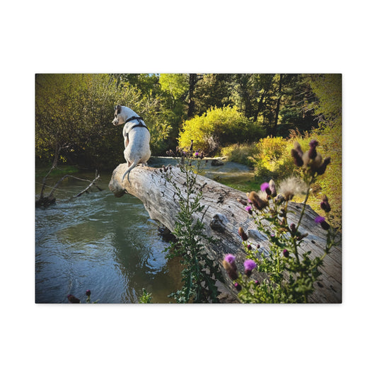Scenic River Dog - Manxy - Canvas Print — Matte Stretched Wall Art
