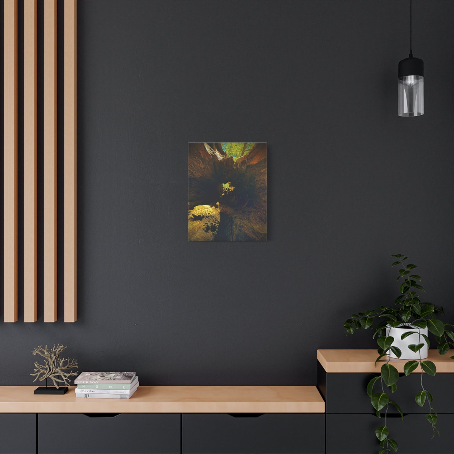 Forest Hollow Canvas Print — Matte Stretched Wall Art