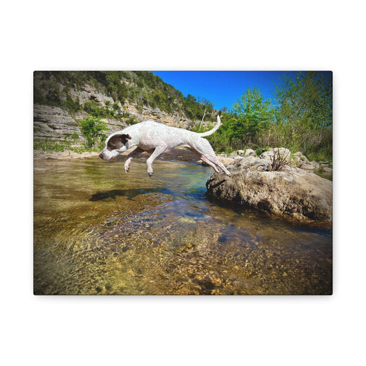 Canvas Print — Dog Leaping Over River | Outdoor Adventure Wall Art