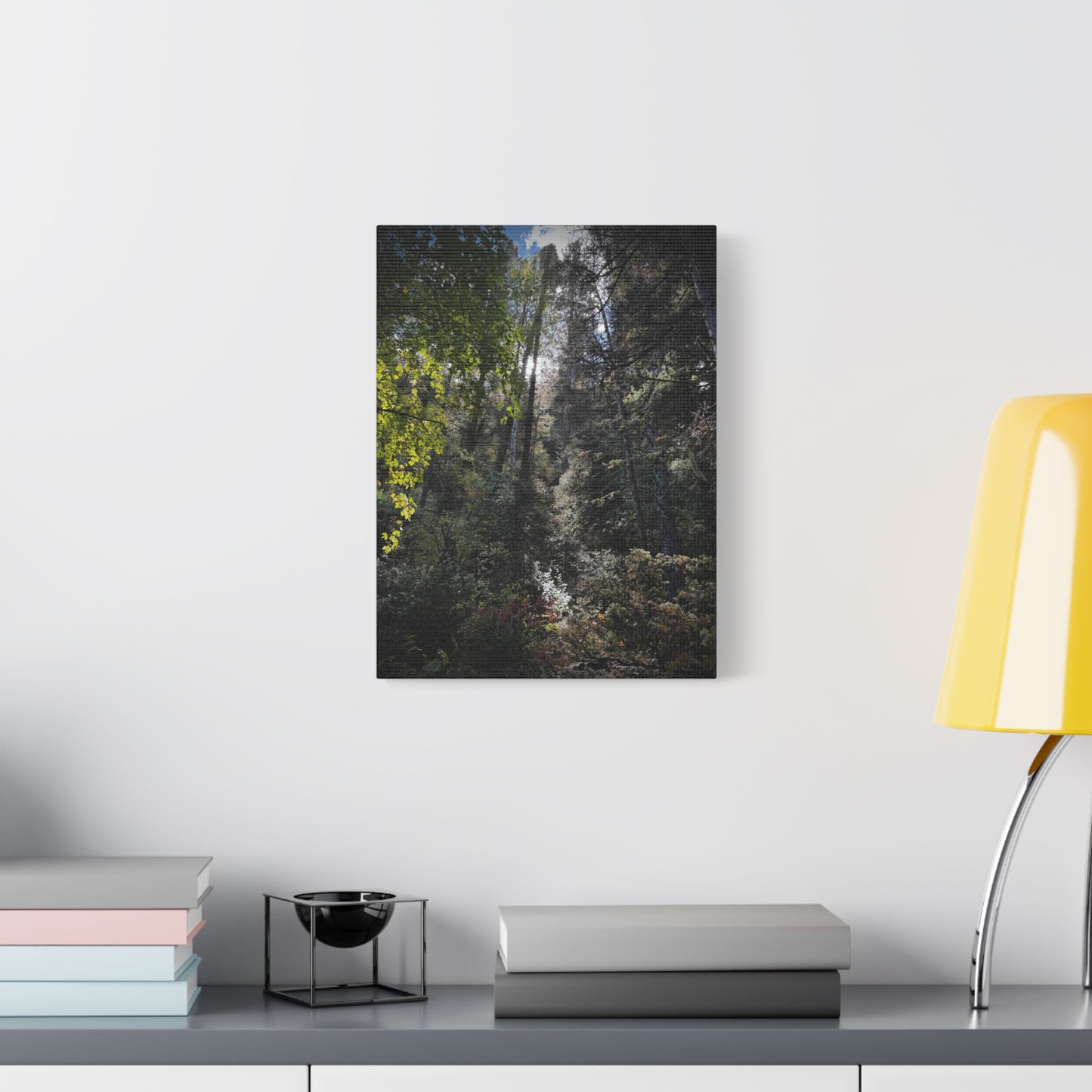 Forest Light Matte Canvas Print — Sunlit Woodland Wall Art (Stretched 1.25")