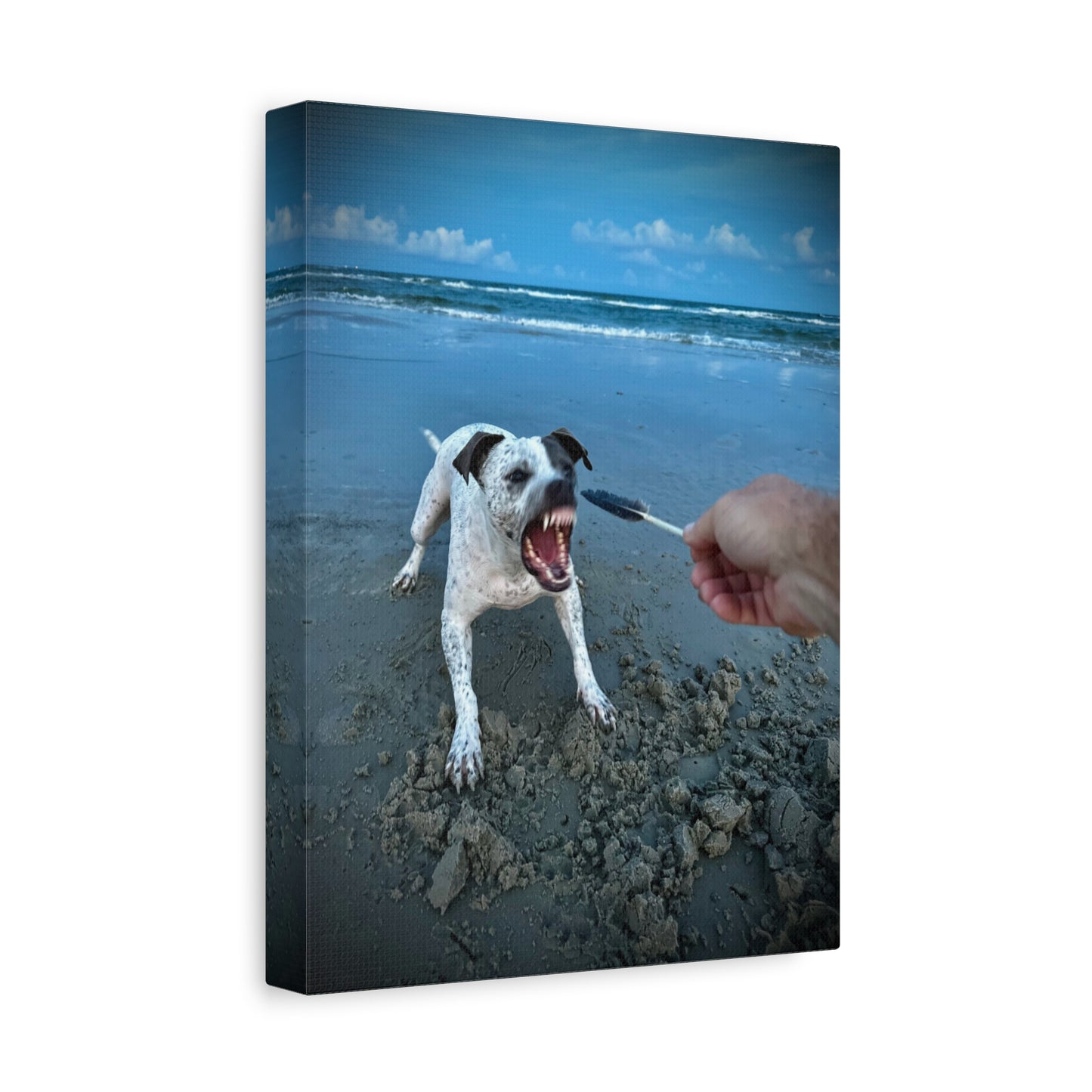 Playful Beach Dog Canvas Print — "Fetch" Moment Wall Art