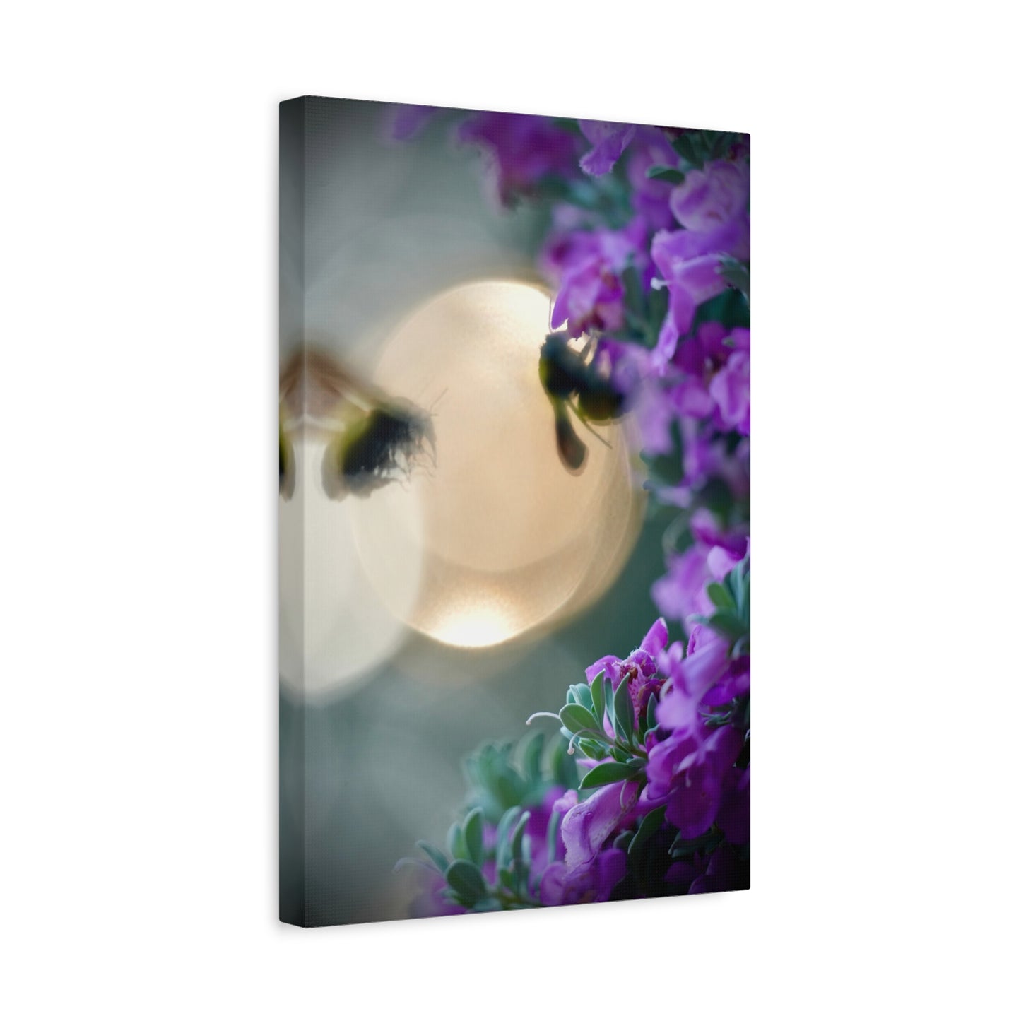 Bokeh Bees & Purple Blooms Matte Canvas Wall Art