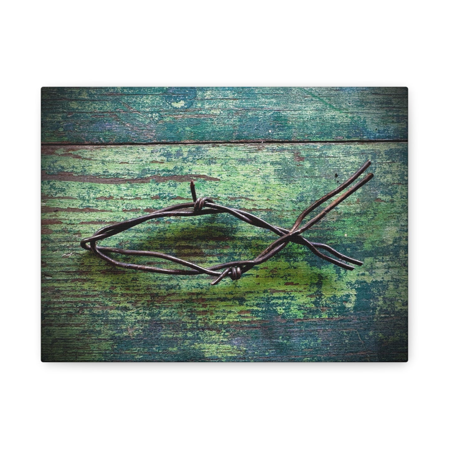 Barbed Wire Fish Canvas Print — Rustic Nautical Wall Art