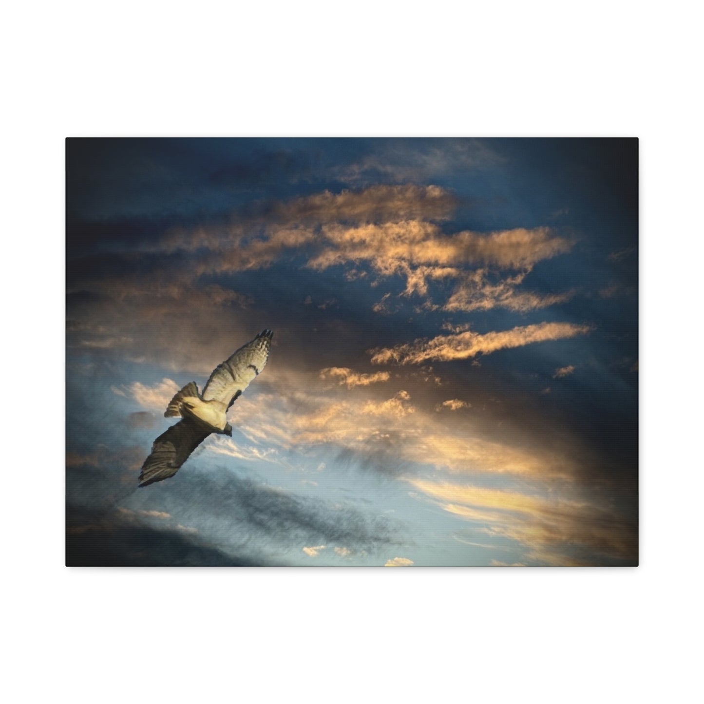 Hawk at Sunset Matte Canvas Print — Coastal Wall Art, Tranquil Ocean Sky