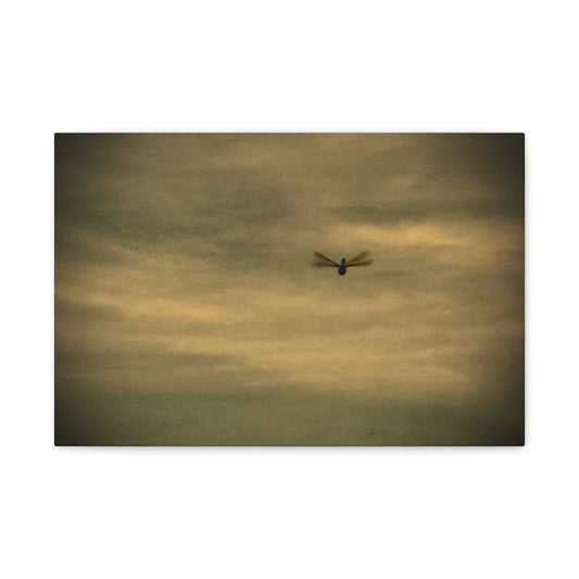 Dragonfly Sky Canvas Print – Moody Vintage Wall Art (Matte Stretched 1.25")