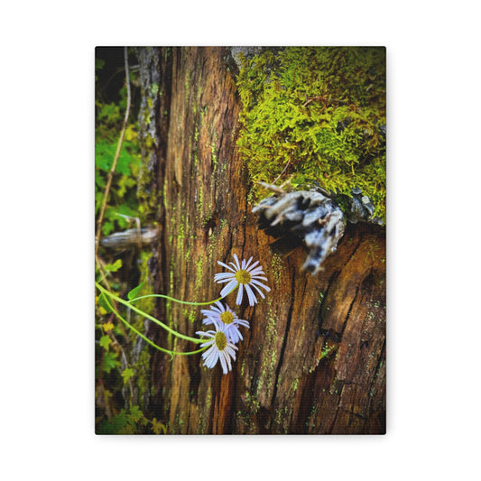 Wildflower & Moss Canvas Print — Rustic Nature Wall Art (Matte Stretched)