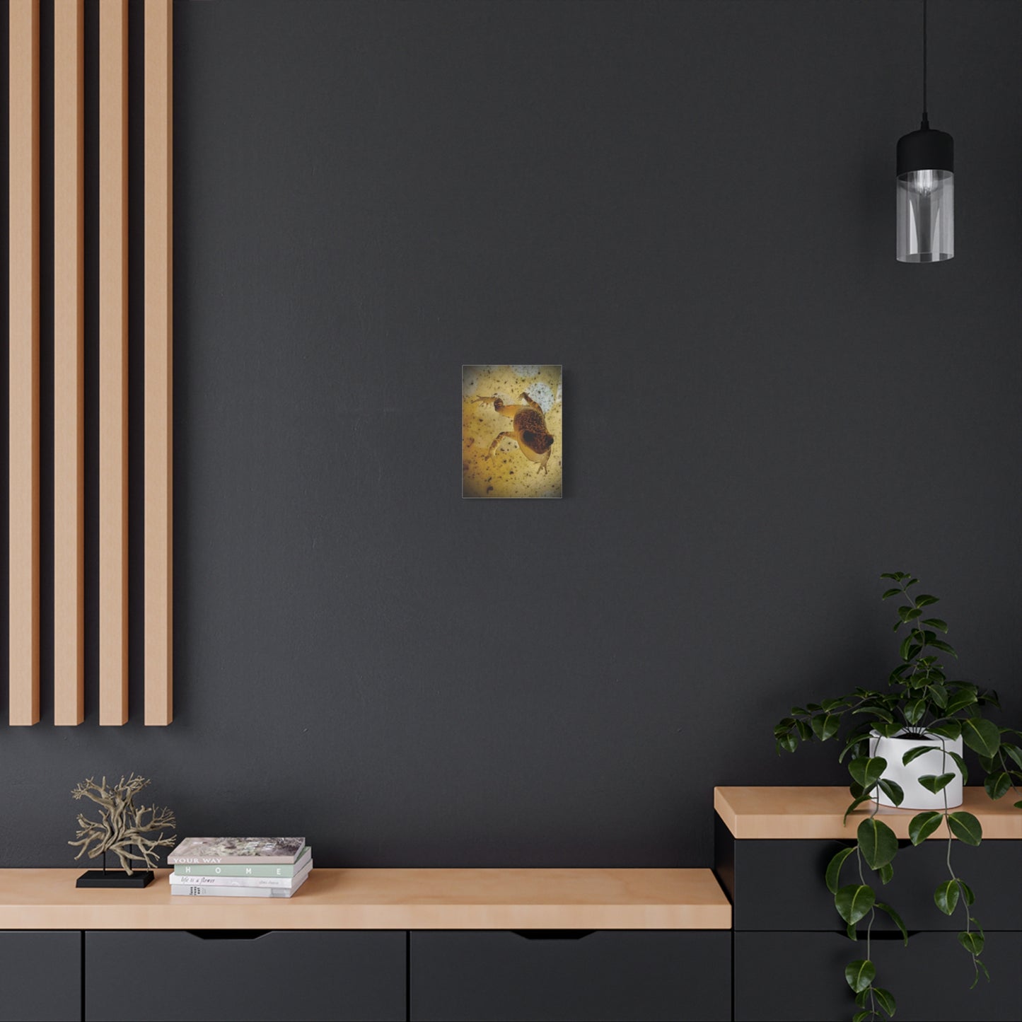 Golden Frog Canvas Wall Art — Close-Up Amphibian Photography