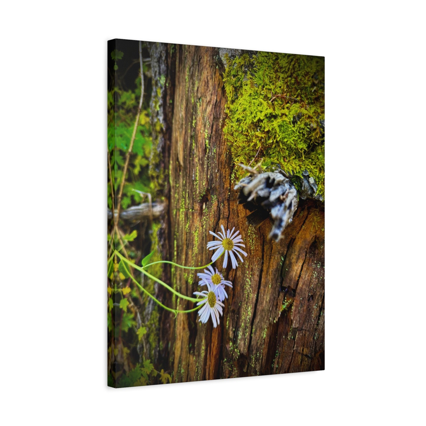 Wildflower & Moss Canvas Print — Rustic Nature Wall Art (Matte Stretched)