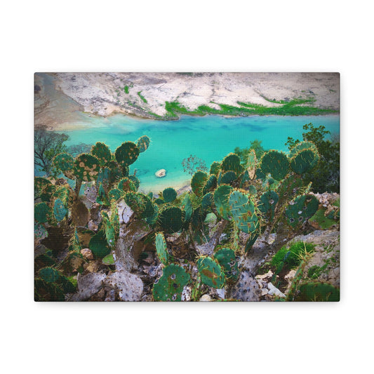 Desert Cactus Coastal Canvas Print — Turquoise Lagoon Wall Art, Matte Stretched 1.25"