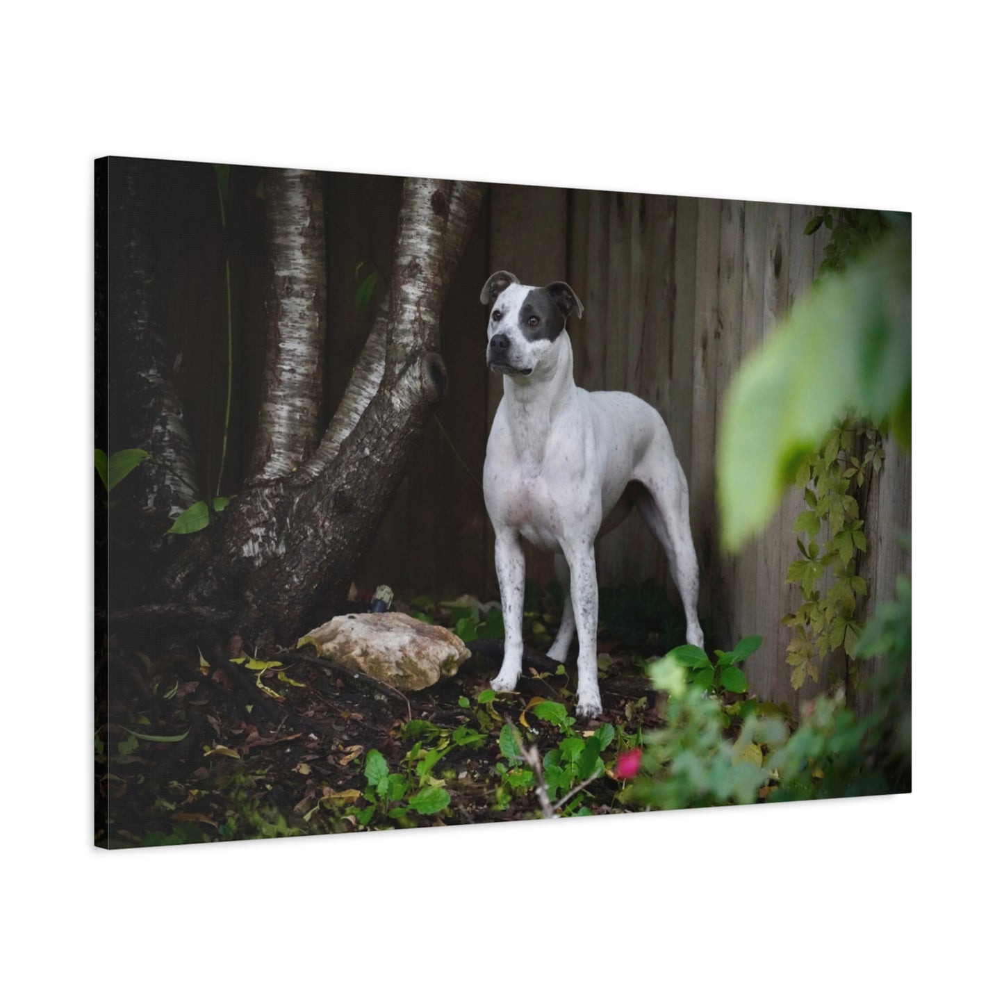 Dog Portrait Canvas Print — Matte Stretched Wall Art