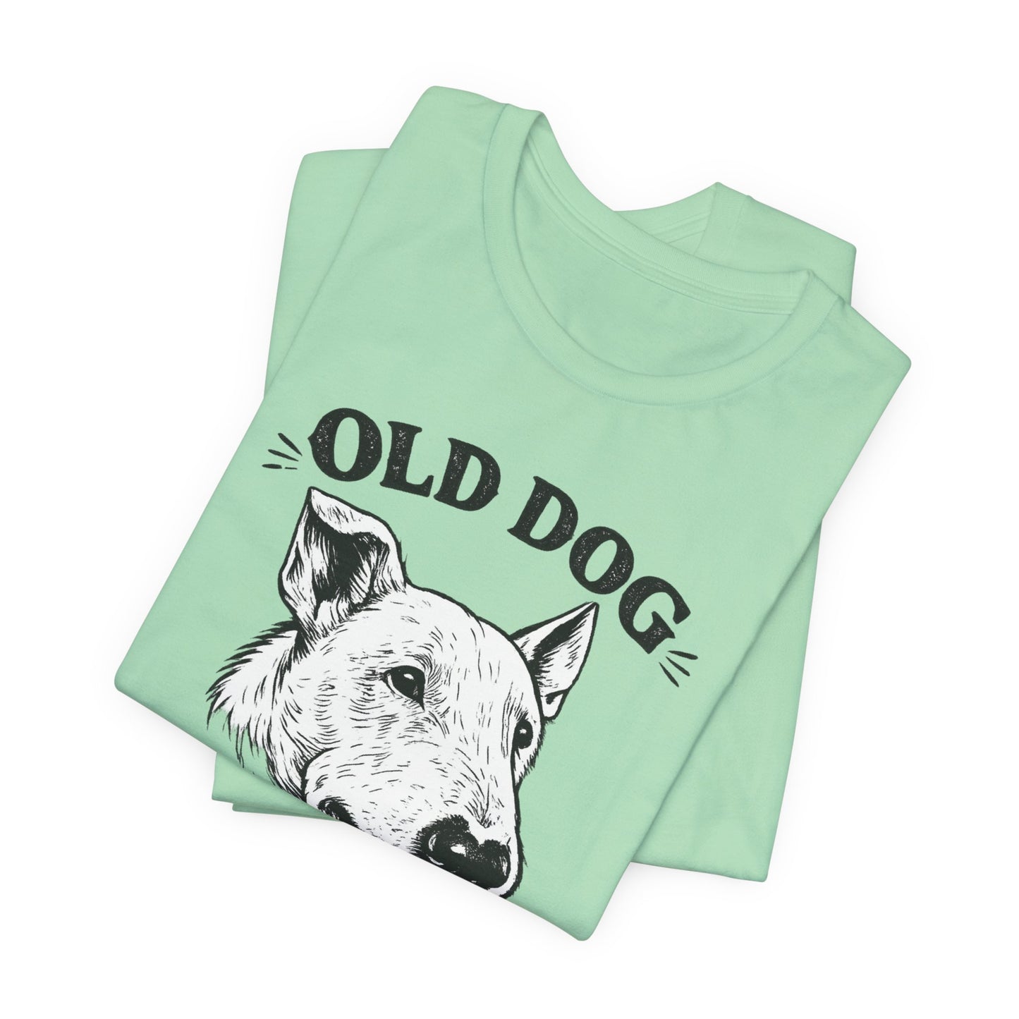 Old Dog, New Tricks T‑Shirt — Vintage Bull Terrier Graphic Tee for Dog Lovers