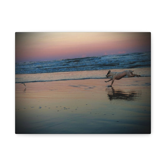 Seaside Sunset Canvas Print — Running Beach Dog Wall Art (Matte Stretched 1.25")