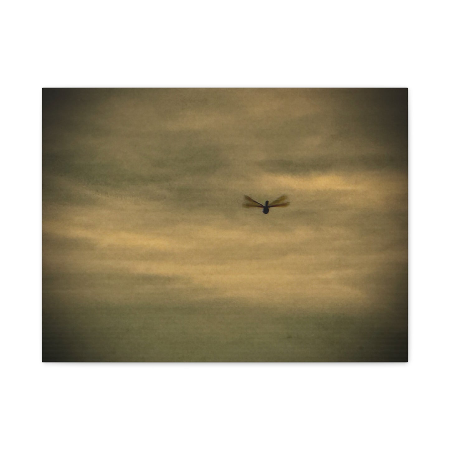 Dragonfly Sky Canvas Print – Moody Vintage Wall Art (Matte Stretched 1.25")