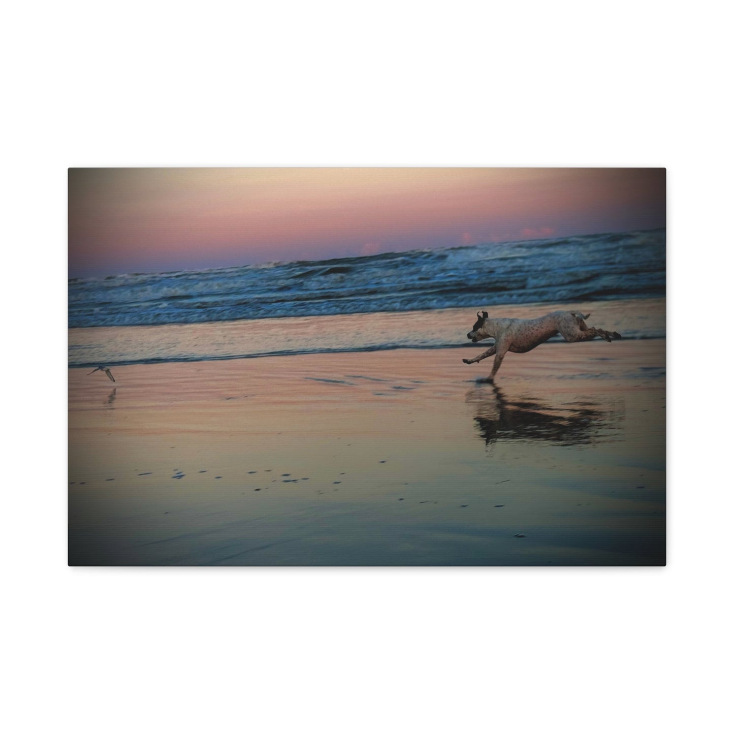 Seaside Sunset Canvas Print — Running Beach Dog Wall Art (Matte Stretched 1.25")