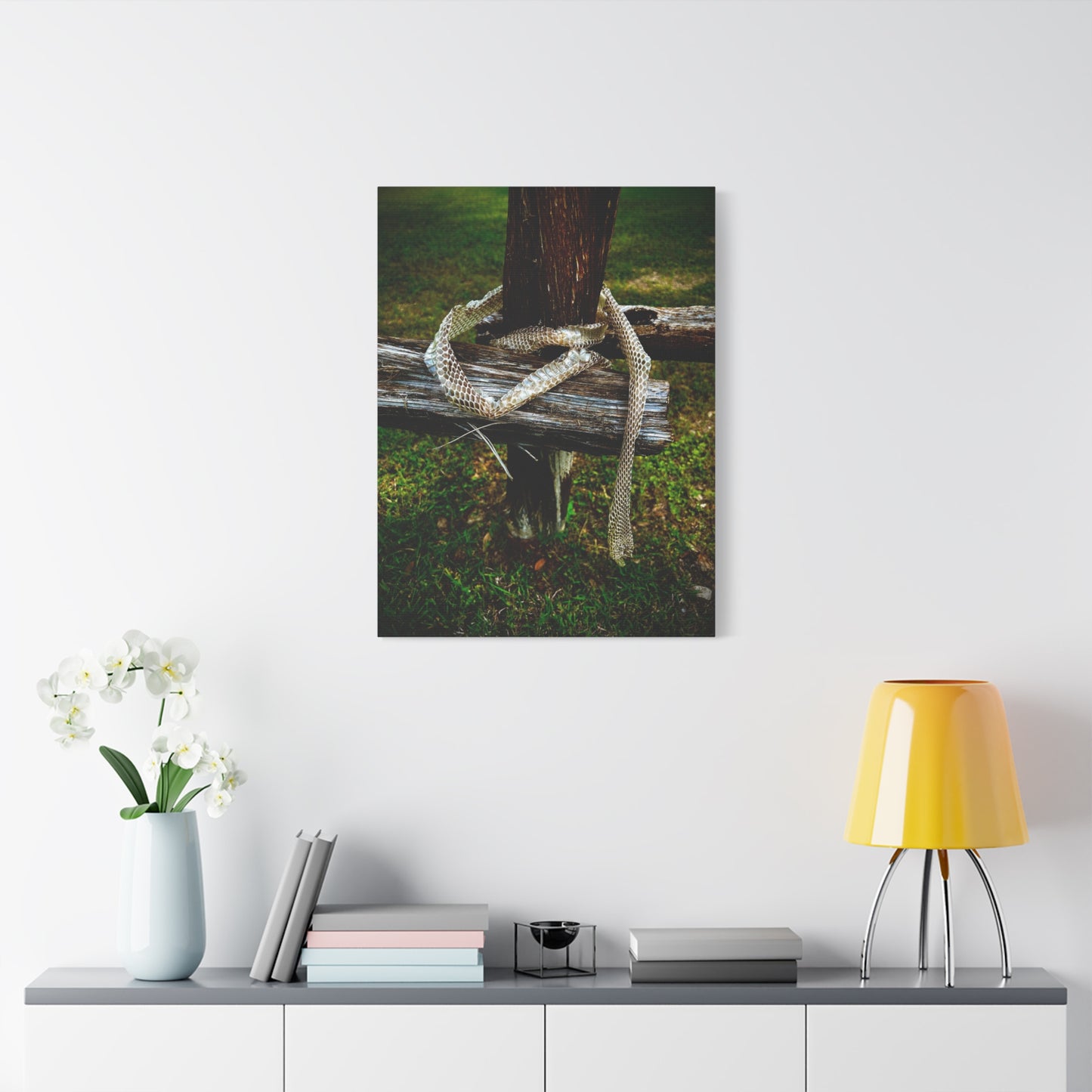 Snake Shed on Rustic Fence — Matte Stretched Canvas Wall Art