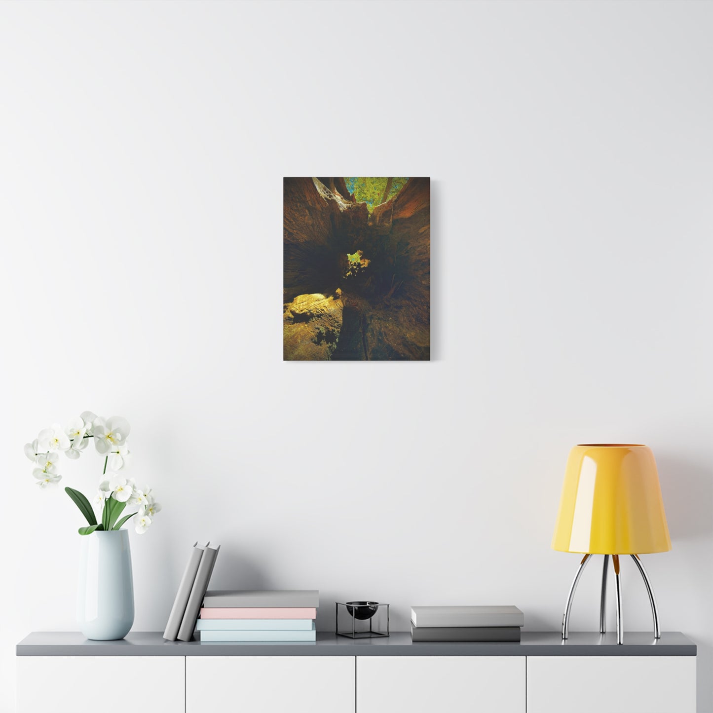 Forest Hollow Canvas Print — Matte Stretched Wall Art