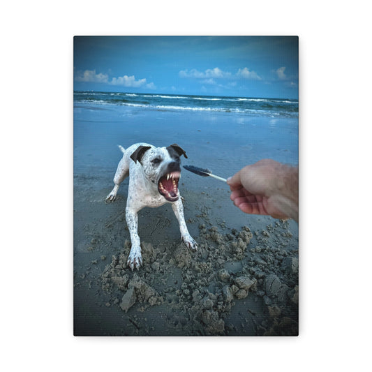 Playful Beach Dog Canvas Print — "Fetch" Moment Wall Art