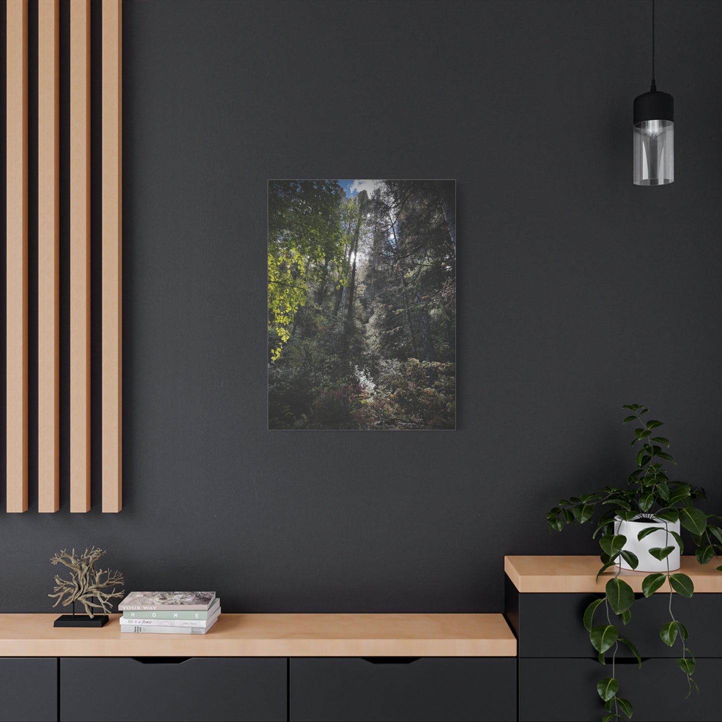 Forest Light Matte Canvas Print — Sunlit Woodland Wall Art (Stretched 1.25")