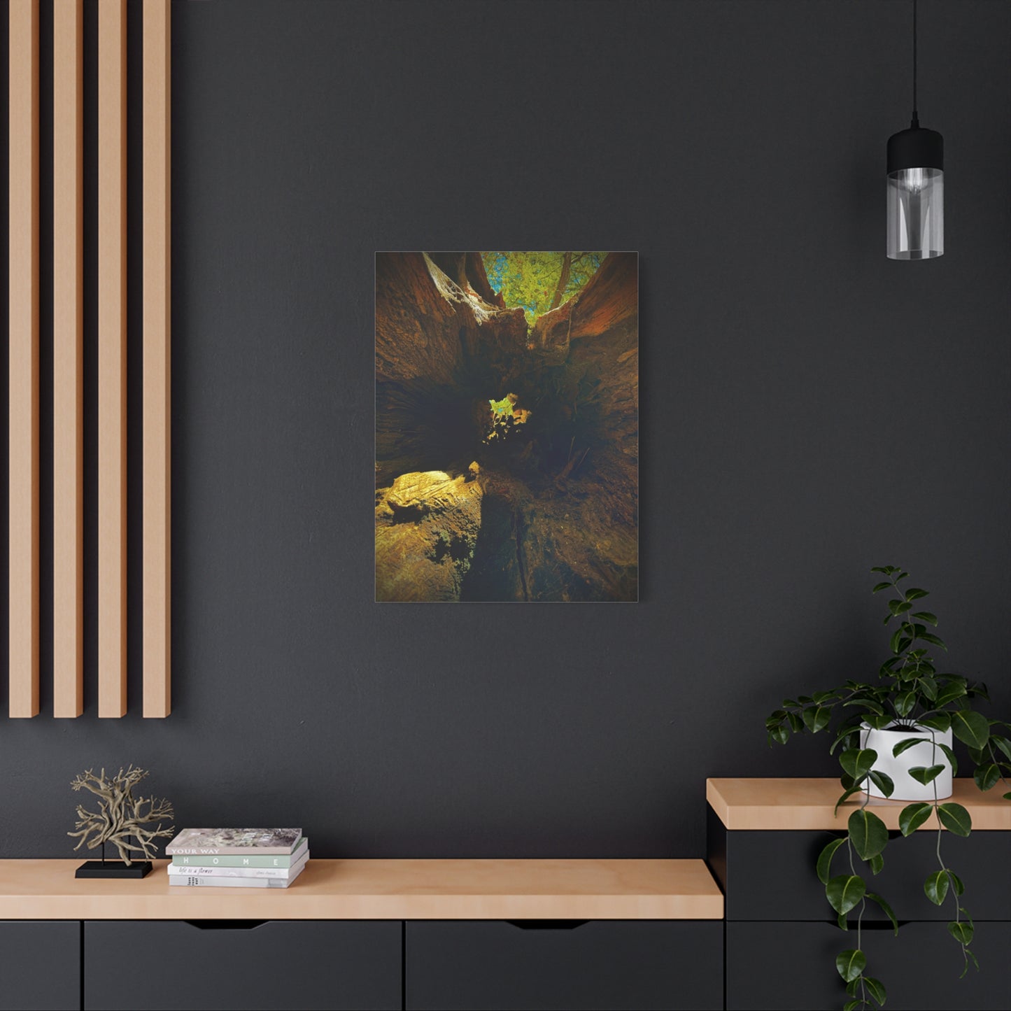 Forest Hollow Canvas Print — Matte Stretched Wall Art