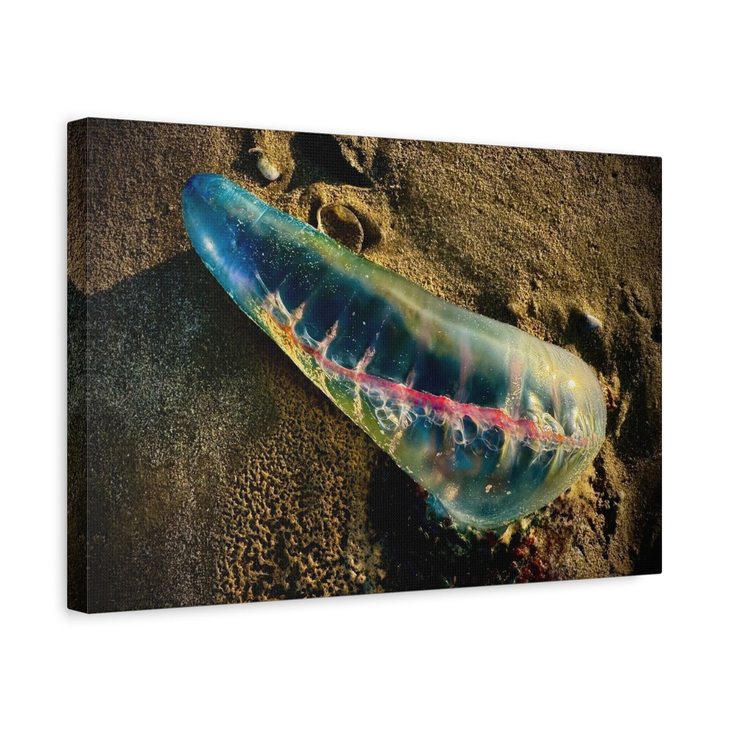 Blue Portuguese Man o' War Canvas Print — Beach Nautical Wall Art