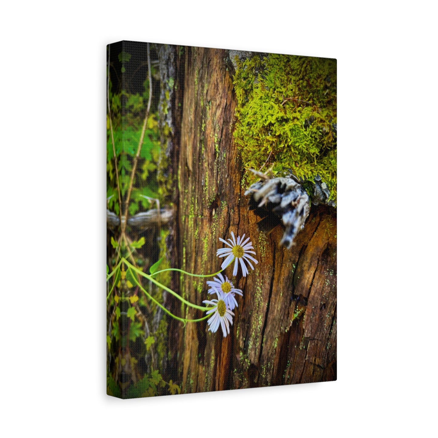 Wildflower & Moss Canvas Print — Rustic Nature Wall Art (Matte Stretched)