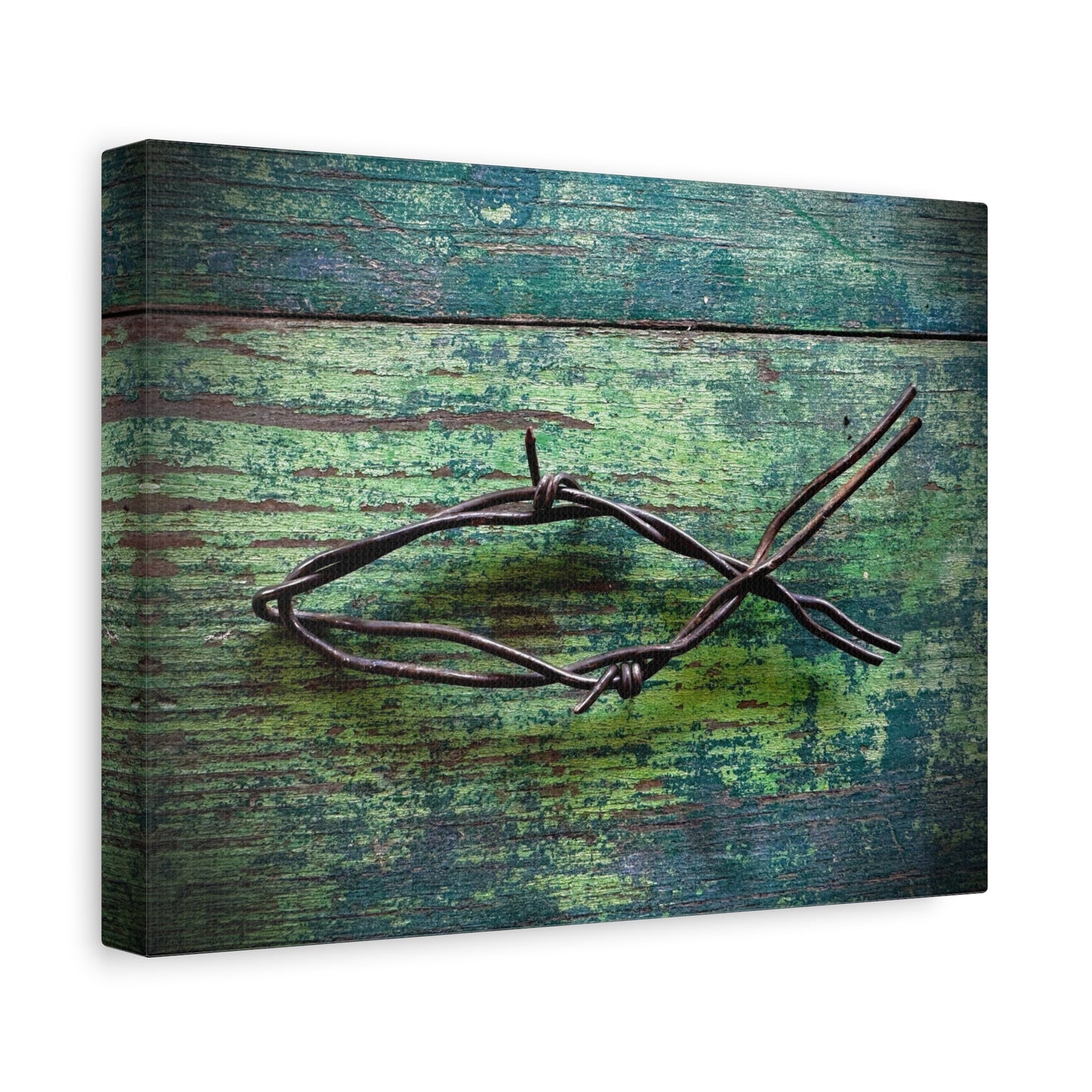 Barbed Wire Fish Canvas Print — Rustic Nautical Wall Art