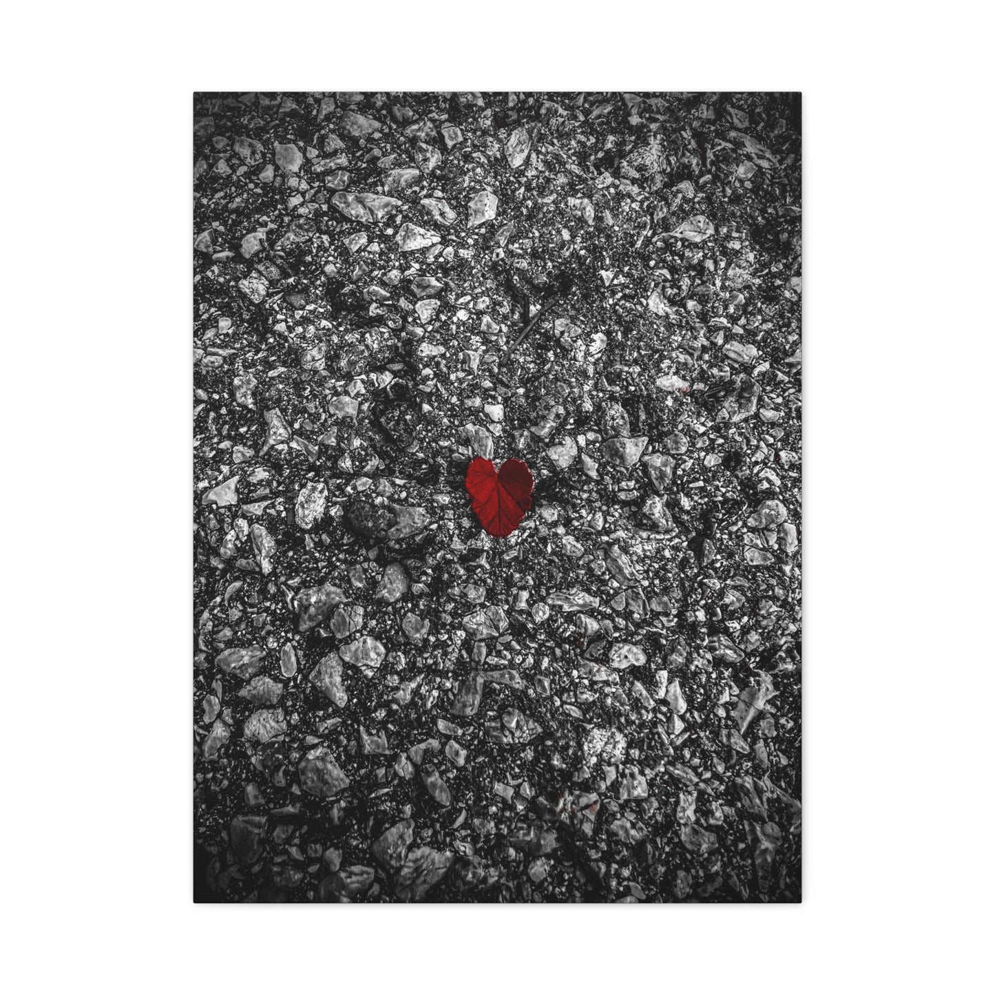 Canvas Wall Art — Red Heart on Asphalt Minimalist Print