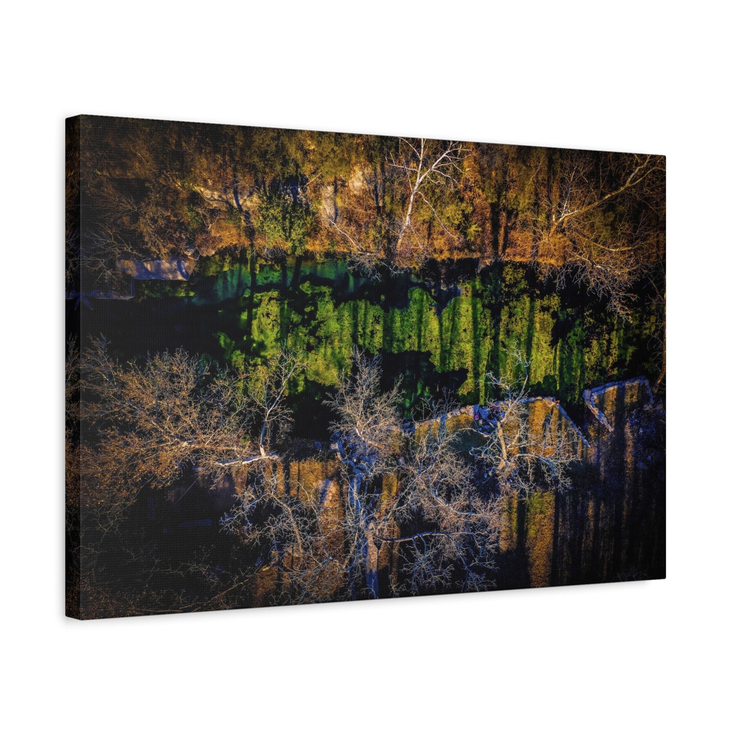 Abstract Forest Reflection Matte Canvas Wall Art — Stretched 1.25"