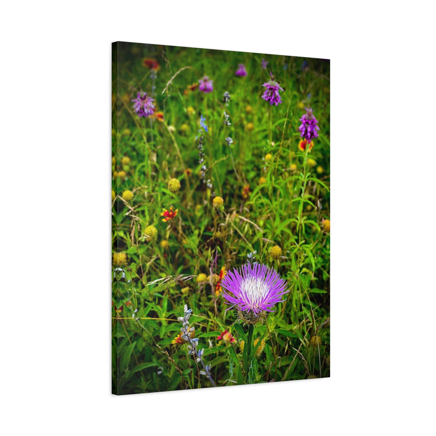 Wildflower Meadow Canvas Print — Stretched Matte Nature Wall Art