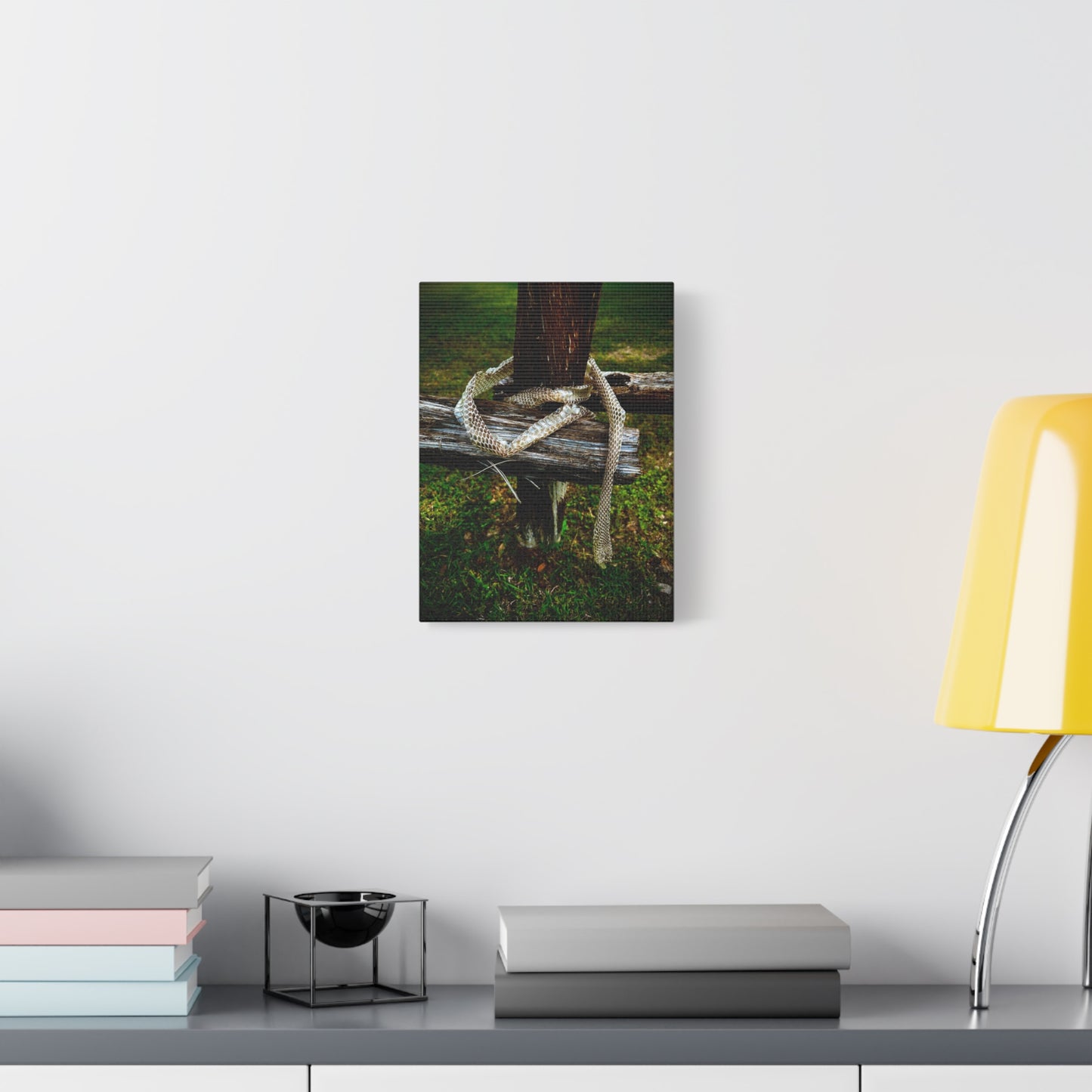 Snake Shed on Rustic Fence — Matte Stretched Canvas Wall Art