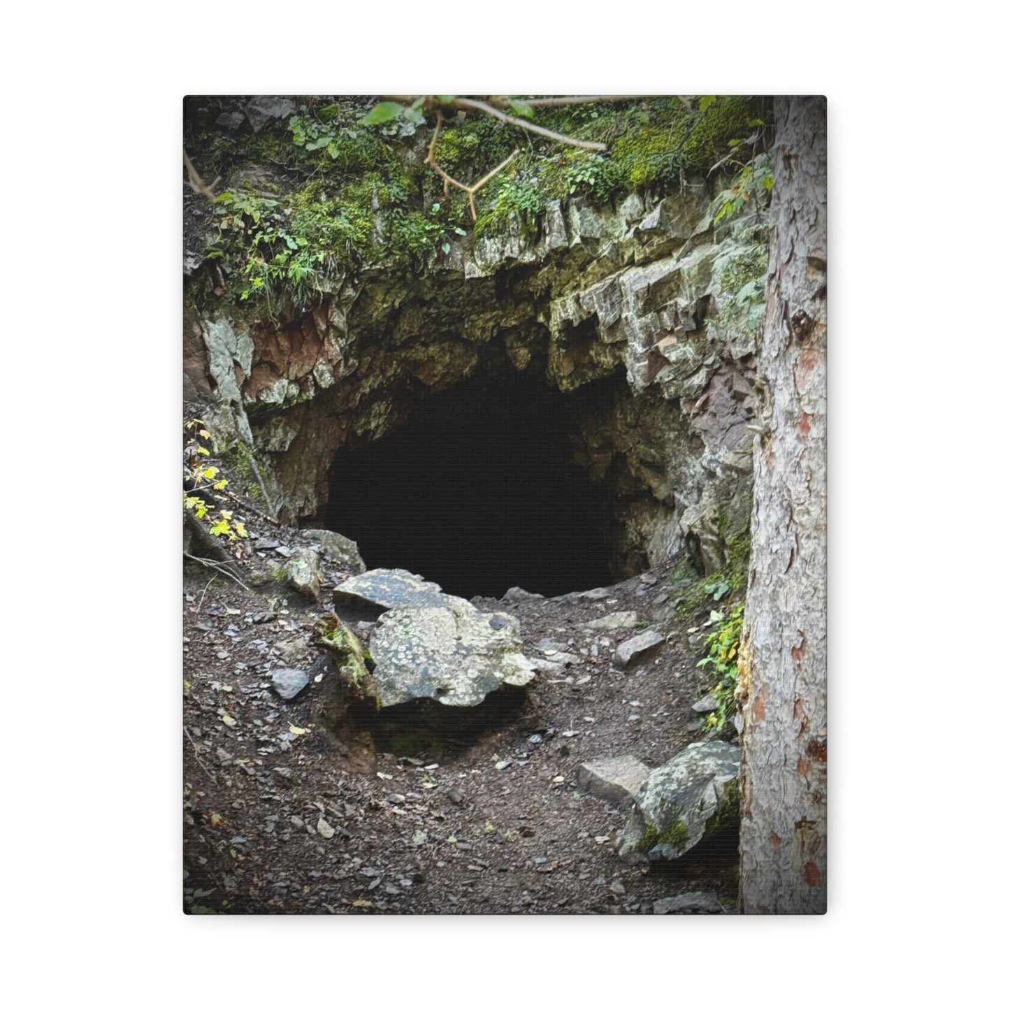 Cave Entrance Matte Canvas Wall Art — Stretched 1.25"