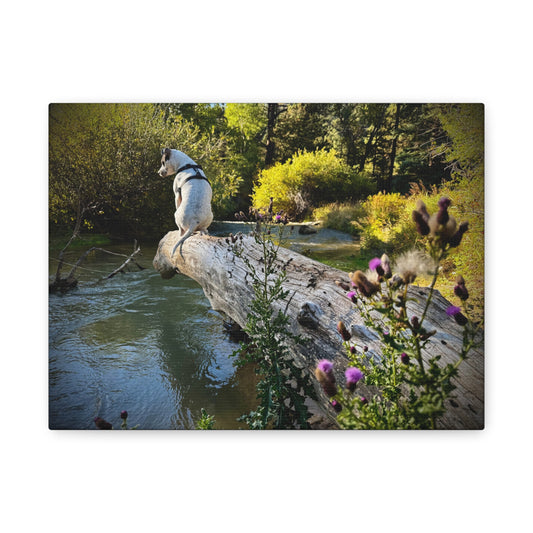 Scenic River Dog - Manxy - Canvas Print — Matte Stretched Wall Art