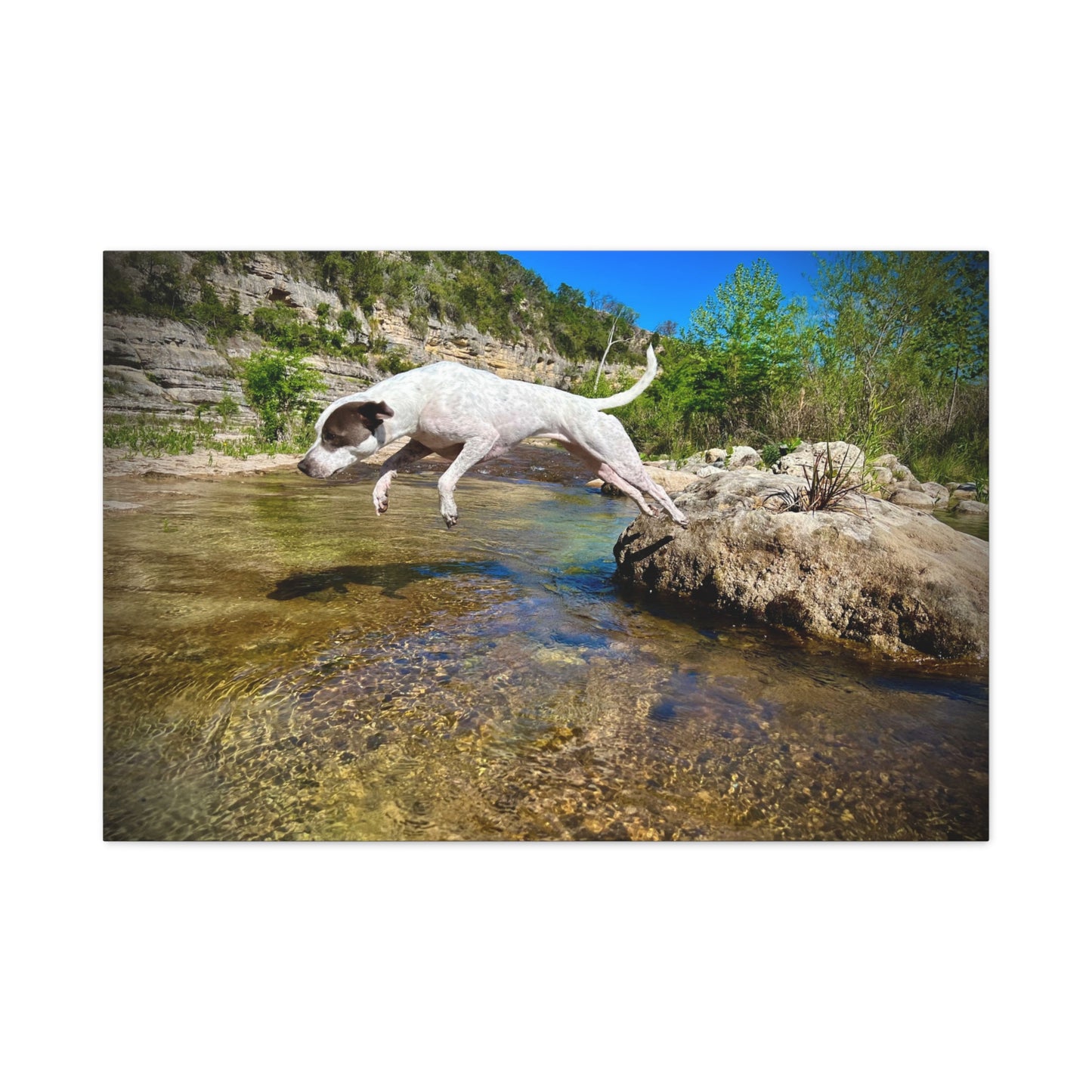 Canvas Print — Dog Leaping Over River | Outdoor Adventure Wall Art