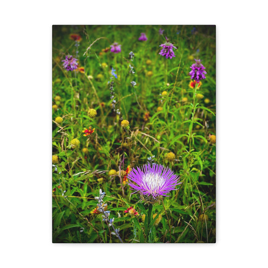 Wildflower Meadow Canvas Print — Stretched Matte Nature Wall Art
