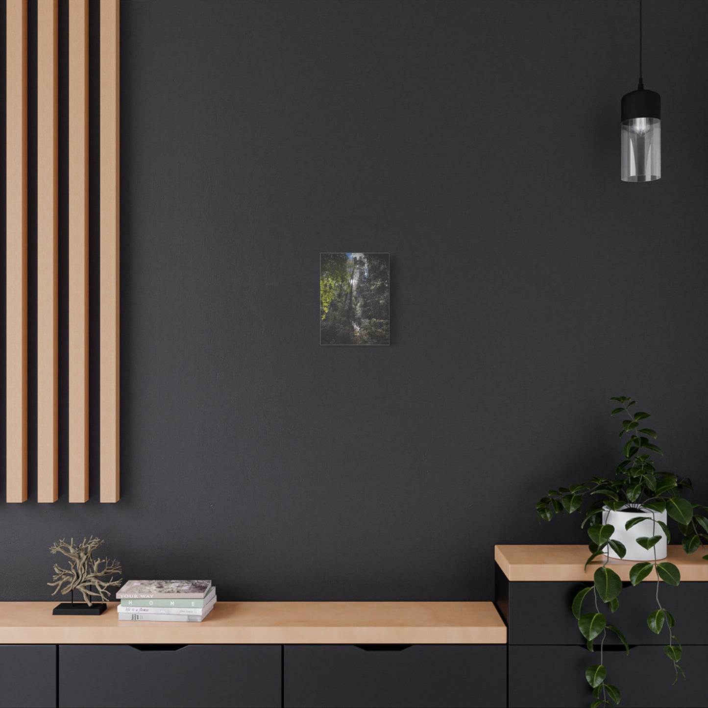 Forest Light Matte Canvas Print — Sunlit Woodland Wall Art (Stretched 1.25")