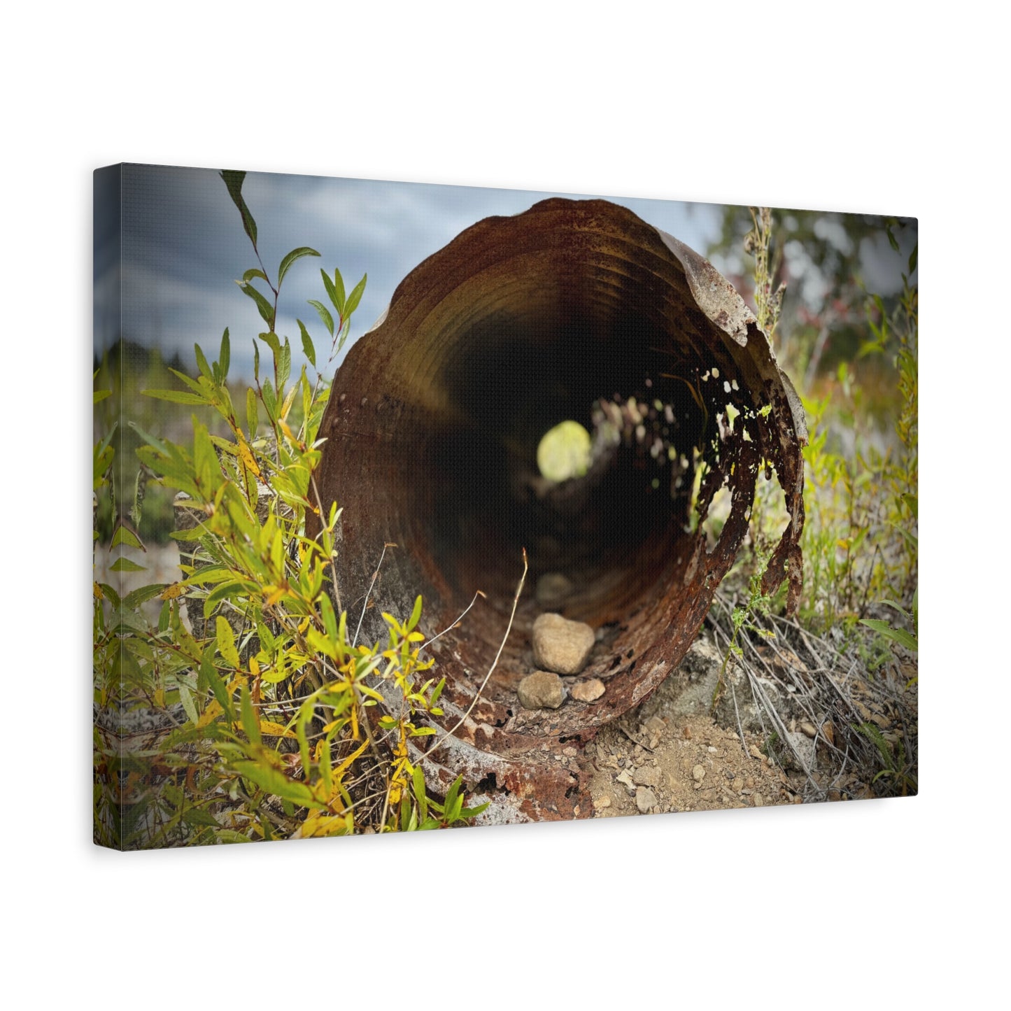 Rusty Pipe Nature Canvas Print — Matte Stretched Wall Art