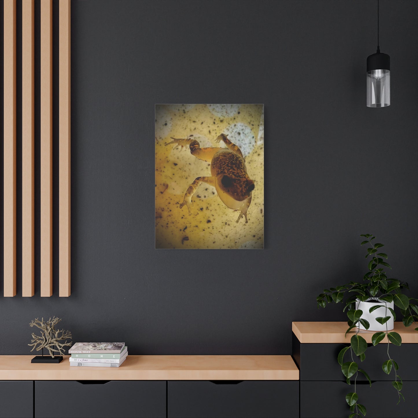 Golden Frog Canvas Wall Art — Close-Up Amphibian Photography