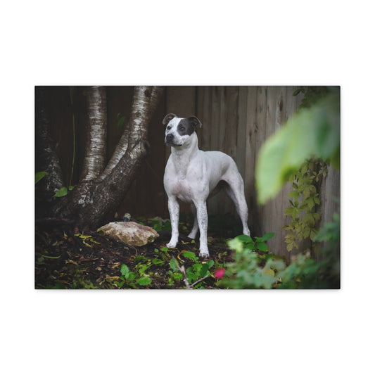 Dog Portrait Canvas Print — Matte Stretched Wall Art