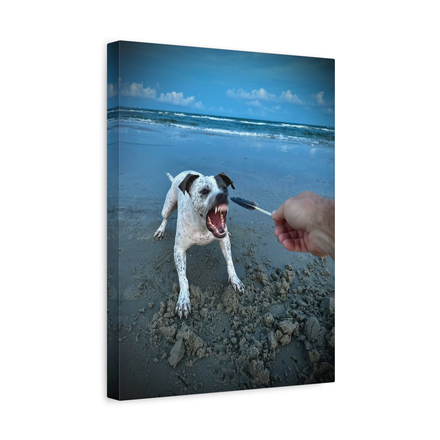 Playful Beach Dog Canvas Print — "Fetch" Moment Wall Art