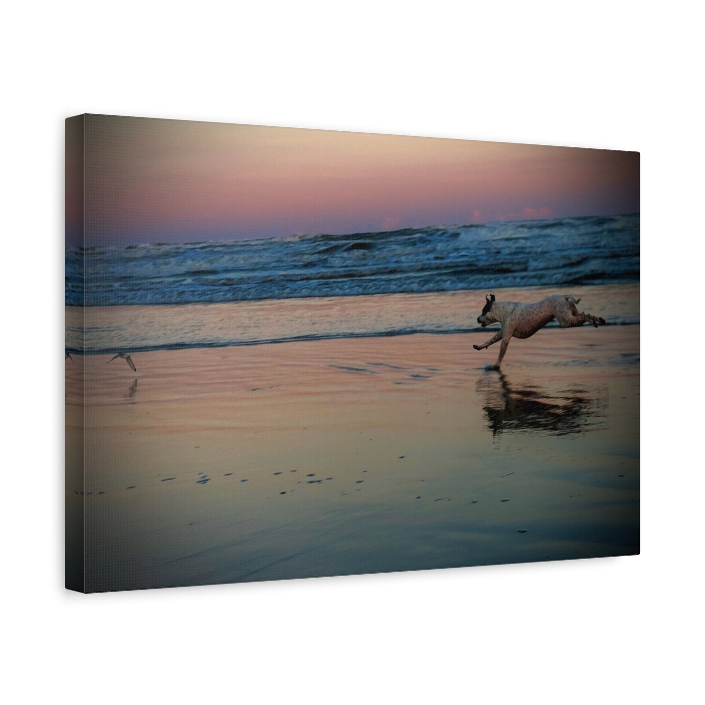 Seaside Sunset Canvas Print — Running Beach Dog Wall Art (Matte Stretched 1.25")