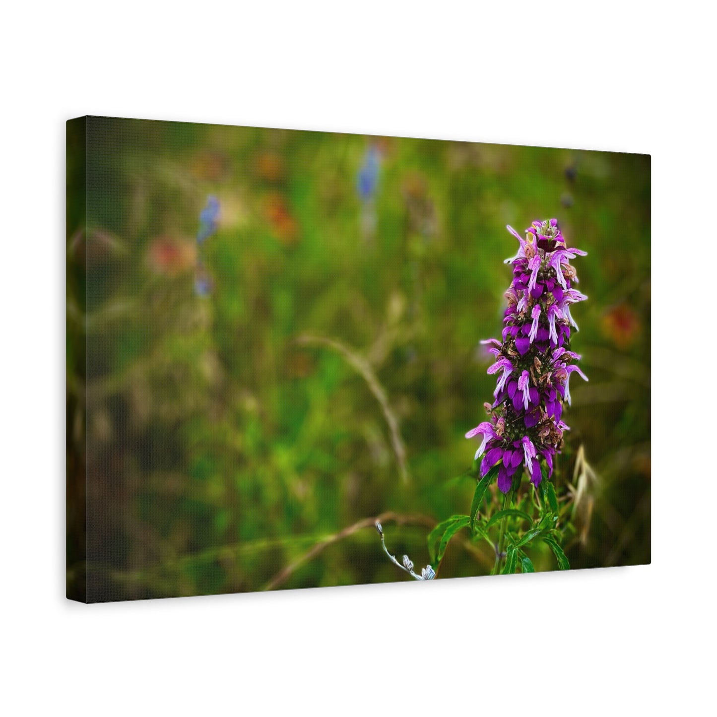 Wildflower Canvas Print — Purple Meadow Floral Wall Art (Matte Stretched)