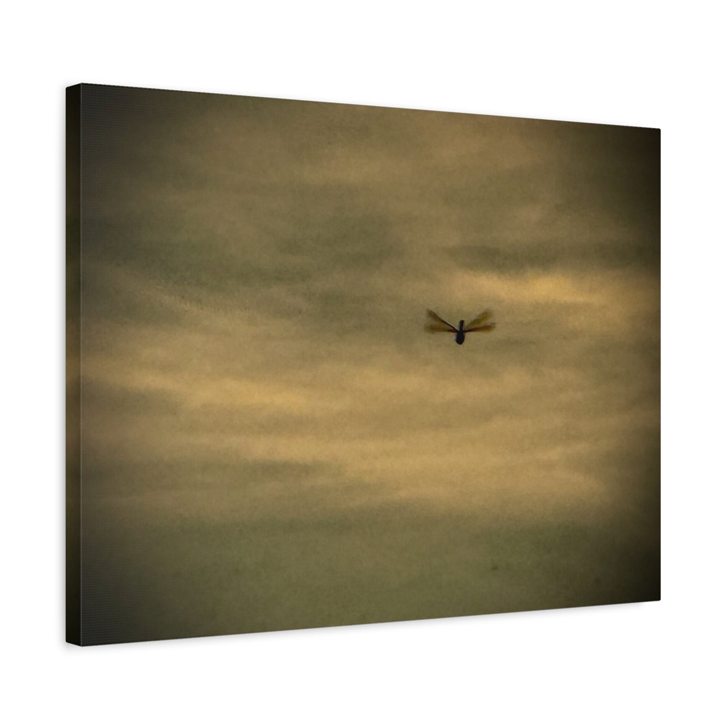 Dragonfly Sky Canvas Print – Moody Vintage Wall Art (Matte Stretched 1.25")